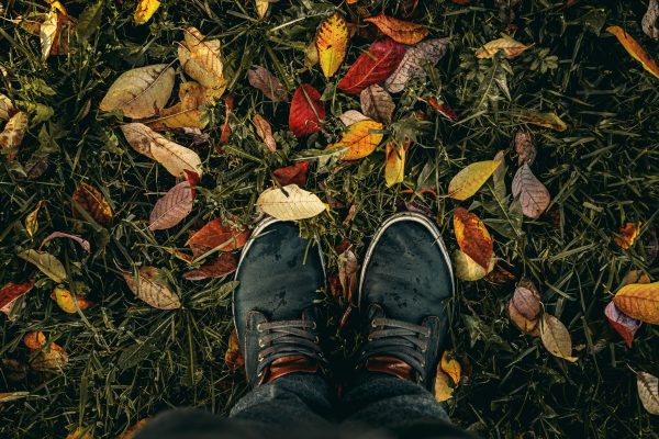 Herfst- en winterkwaaltjes