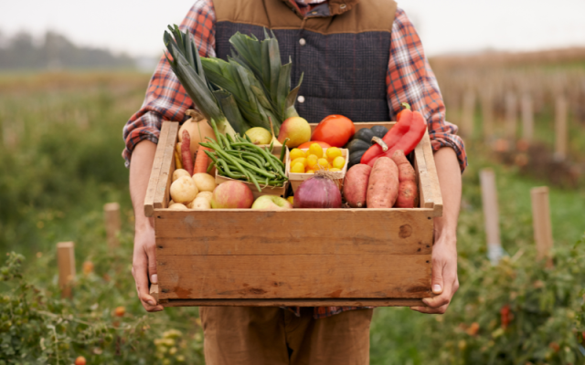 Vegicaps voor vegetariërs en veganisten